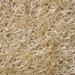 Sara Cream Rug