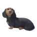 Dachshund Puppy Dog Statue in Black