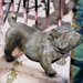 Brutus The English Bulldog Statue