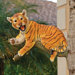Up a Tree Tiger Cub Statues