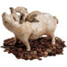 When Pigs Fly Large Bank