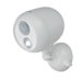 Wireless LED Spotlight with Motion Sensor and Photocell