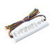 700 Lumen Emergency Ballast