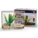 Mini Oval Aquarium Betta Kit