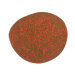 Bichos Y Flores Orange Kids Rug