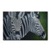Radiance Zooma Canvas Art