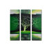 Radiance Nolana Canvas Art (Set of 3)