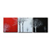 Radiance Mellisa Canvas Art (Set of 3)