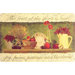 Cushion Comfort Fruitful Journey Mat