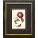 Apples Framed Print