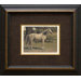 Arab Charger Horse Framed Print