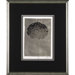 Silver Stem 3 Framed Print