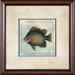 Tropical Fish 1 Framed Print - 21"x 21"