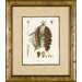 Small Cone 4 Framed Print