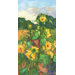 Sunflowers Left on Canvas