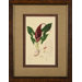 Plate 4248 Framed Print