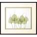 Woodlands 1 Framed Print