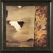 Cascade Framed Print
