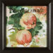 Pomegranate on Canvas Framed Print