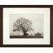 Pleasant Hill Framed Print