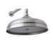 Traditional Shower Head