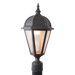 Kiss Series 21.5" LED Post Lantern