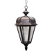 Kiss Series 1 Light Outdoor Hanging Lighting