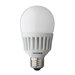 Acculamp LED A-Lamp Dimmable Bulb
