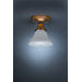 Pendant 6" 1 Light Semi Flush Mount