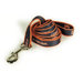 NCAA Dog Leash #2