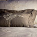 Classica Sham