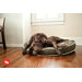 Backyard Camouflage Round Dog Bed in Army Green