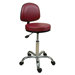 Professional Stool with Adjustable Backrest