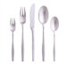 Variation V 5 Piece Flatware Set