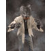 Hairy Monster Shirt Costume 