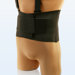 Deluxe Elastic Back Belt