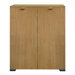 Gallery 4 Drawers and 1 Door Tall Chest