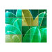 Leaves Kitchen Tile Mural