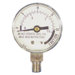 Pressure Canner Steam Gauge