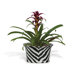 Kenya Oval Planter