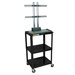 Adjustable Height Flat Panel Cart