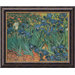 Les Irises (Irises) by Vincent Van Gogh, Framed Canvas Art - 19.97" x 23.97"