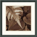 Painted Ferns I Framed Art Print by Rebecca Swanson