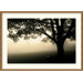 Shenandoah Framed Print by Andy Magee