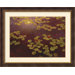 Lilies and Light Framed Print by Greg Singley