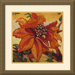 Aurea II Framed Print by John Douglas