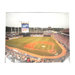 MLB Stadium Canvas Wall Art