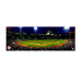 MLB Panoramic Canvas Art