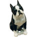 Mid Size Boston Terrier Sculpture