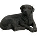 Mid Size CuriousLabrador Retriever Sculpture in Black